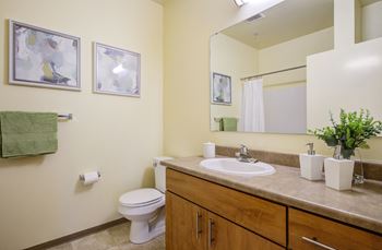 Spacious bathroom